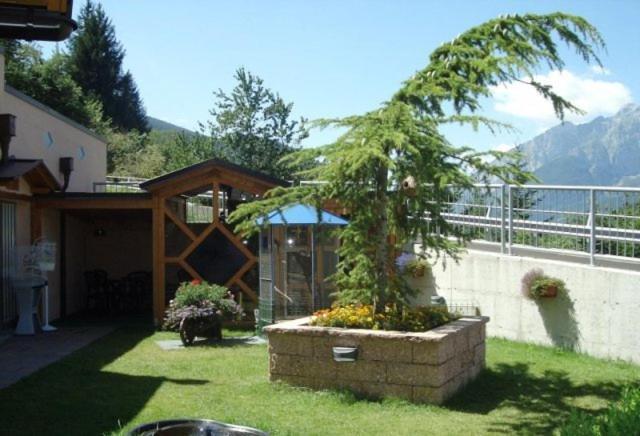 Hotel Piancastello Andalo Dış mekan fotoğraf